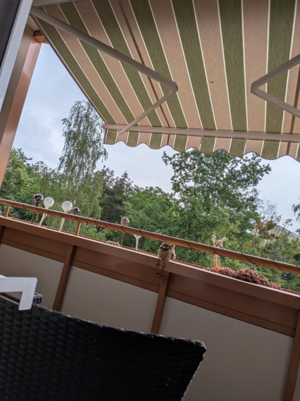 Gemütliche kleine Wohnung im Birkenpark - Photo 3