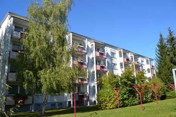 3-Raum-Wohnung in Bieblach nach Ihren Wünschen saniert - Foto 2