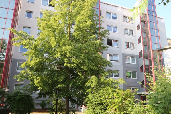 Gemütliche 1-Raum-Wohnung in ruhiger Lage - Foto 3