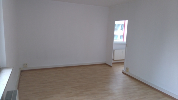 Gemütliche 1-Raum-Wohnung in ruhiger Lage - Foto 1